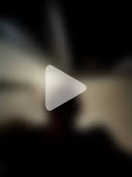 MrPalmTrees photo 19