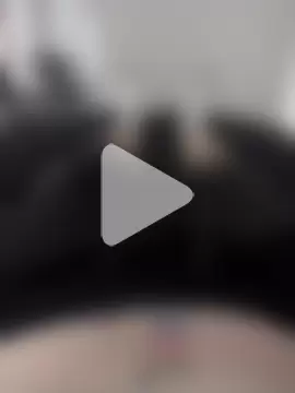 MrPalmTrees photo 10