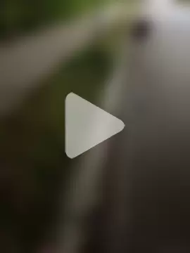 Mrbigcockdanicol10 photo 24