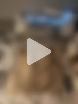 MsPink_Flamingtoes544 photo 13