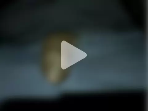 Mthondo-qinile photo 8