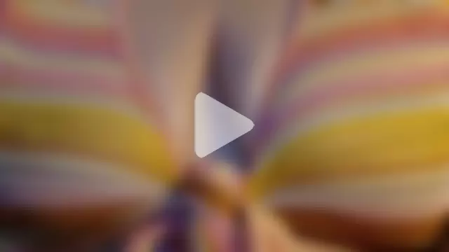 MysteryLadyxXx photo 23