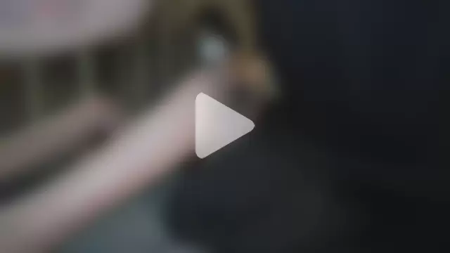 NETORARE_SECRET photo 2