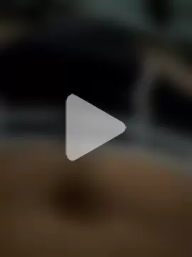 Napoletano17 photo 2