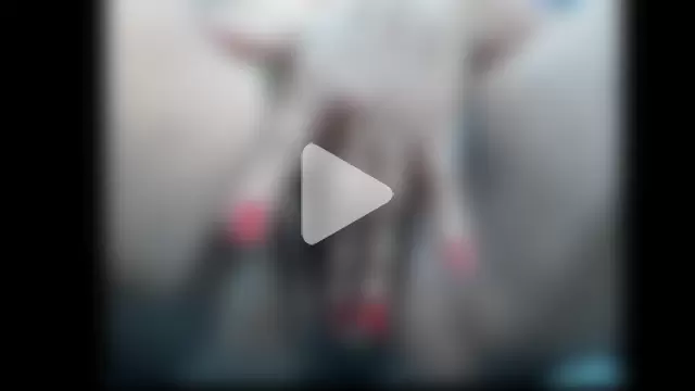 Nasty_hotxxx photo 18