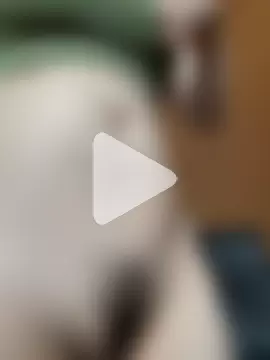 NattCastillo photo 14