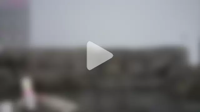NavvyBlue photo 11