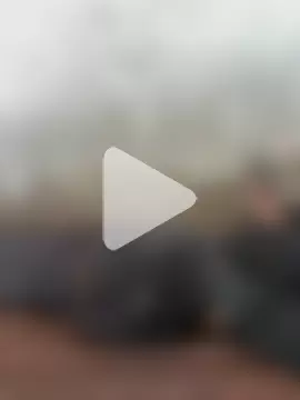 NchadeeQ_n7wiiiQ photo 10