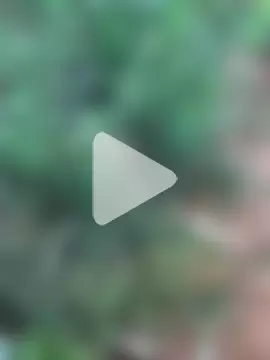 Ndodemnyama@xh photo 2