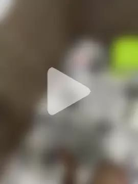 Ngoclinh555 photo 26