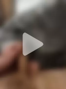 NiceBone000 photo 11