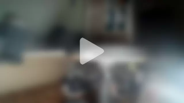 NiceHunter89 photo 9