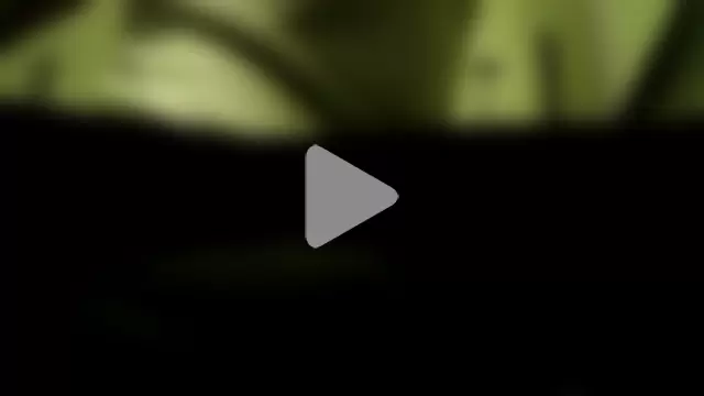 NiceHunter89 photo 5