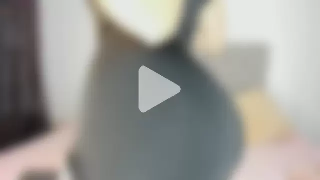 Nicol_Swift_ photo 13