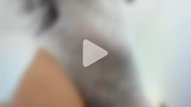 Nicolle_Lexyy photo 2