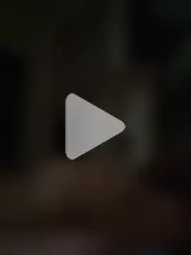 NiftyCaptain3 photo 18