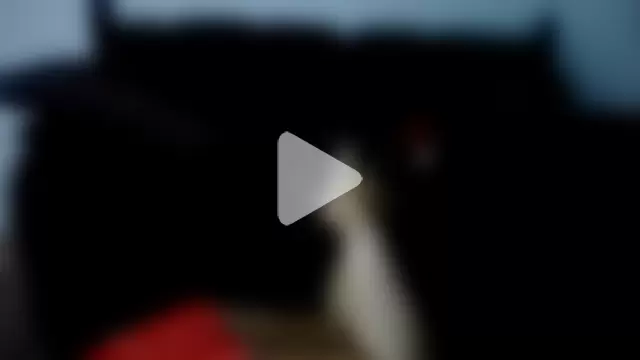 Niquitasparkles photo 6