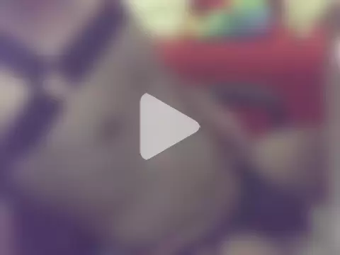 NossoPrazer_ photo 1