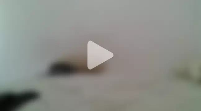 NovinhoPirocudo6999 photo 7