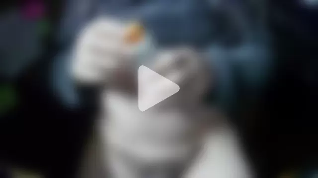 OceanicJob9 photo 22