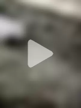 OdinWolf1990 photo 16