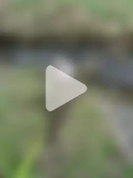 OliviaaFischer photo 9