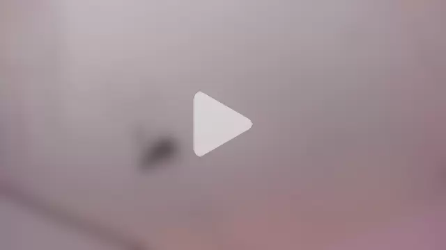 Oriana_Guzman photo 13