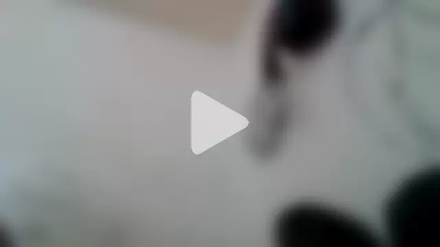 Oskr2025xxx photo 21