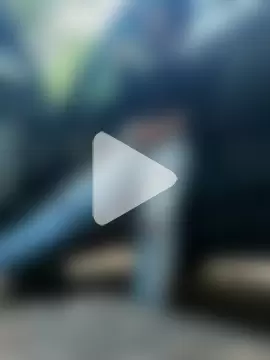 PIGHIGHDIRTY_p0 photo 26