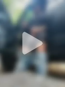 PIGHIGHDIRTY_p0 photo 25