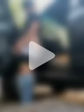 PIGHIGHDIRTY_p0 photo 21