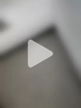 PIGHIGHDIRTY_p0 photo 19