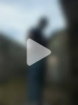 PIGHIGHDIRTY_p0 photo 1