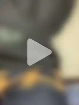 PINO_pino_01 photo 15