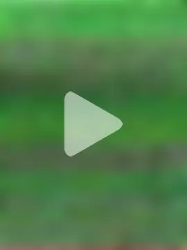 PUNAM_BABY1 photo 13