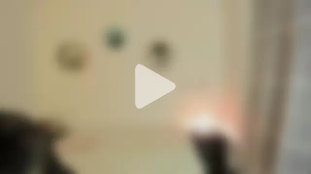 Paloma_victory photo 5