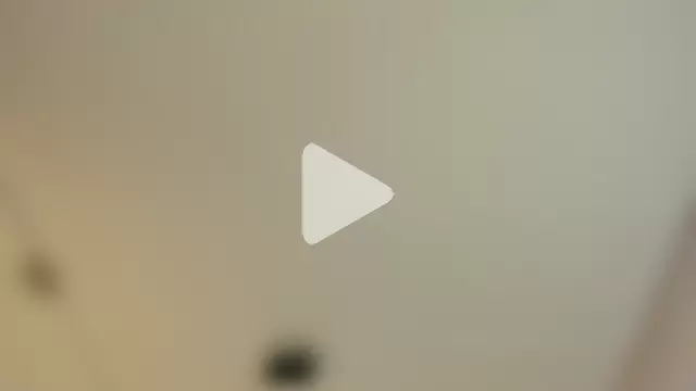 Paloma_victory photo 5