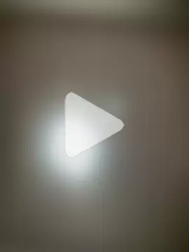 PandoraRider photo 23