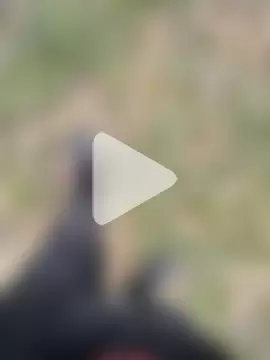 Paploesco026 photo 12