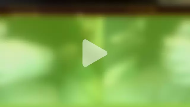 Patrickhound photo 13