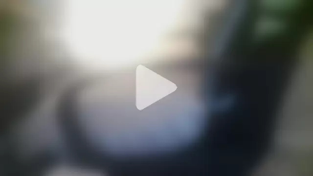 Patrickhound photo 3