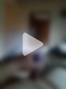 Paulo202411 photo 18