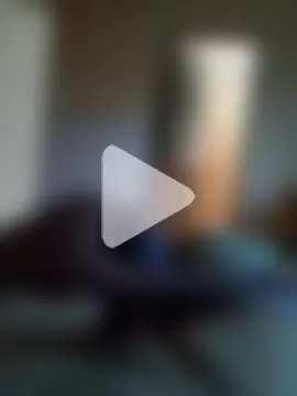 Paulo202411 photo 16