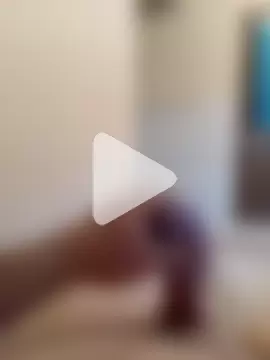 Paulo202411 photo 14