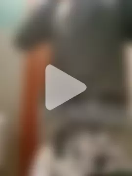 Pauzudoooootk photo 12