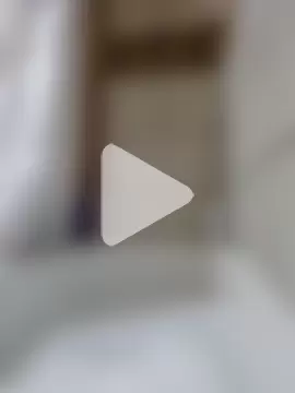 Paynted_Lady photo 7