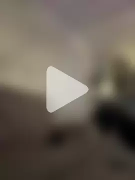 PetitLumiere photo 2