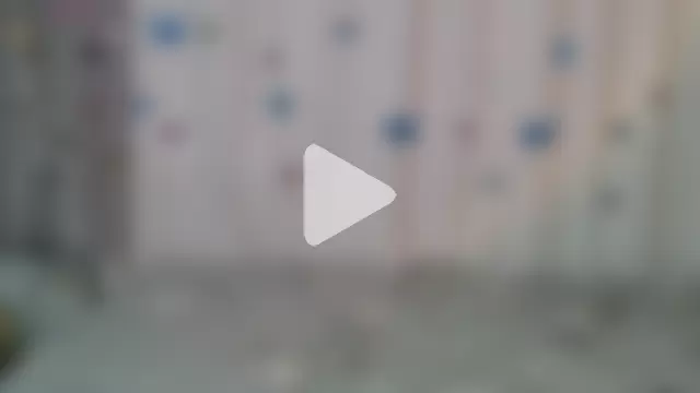 Phantommira photo 18