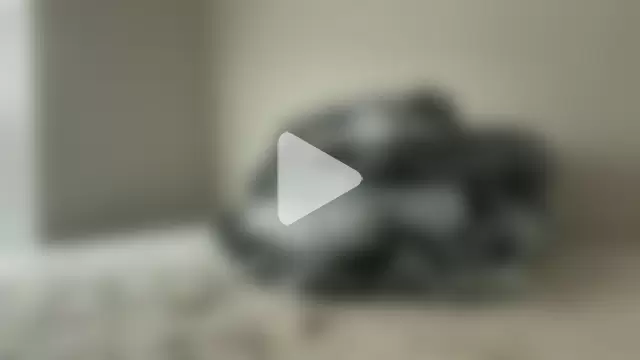 PhoenixStarz photo 19