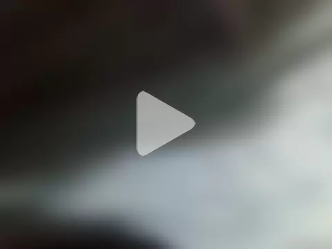 Phot_misty photo 1